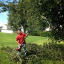 Miller Son Tree Service - Tree Service