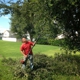 Miller Son Tree Service