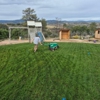 Castle Rock Lawn and Sprinkler, Centennial gallery