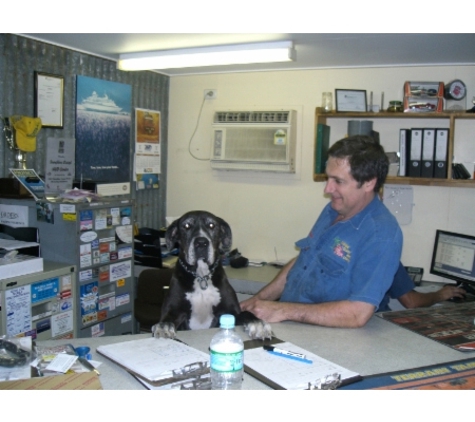 Sunshine Coast 4WD Centre. Ruby was our workshop dog, but sadly has passed away.