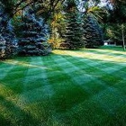 Easy Green Landscape Maintenance