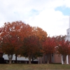 Flat Creek Baptist Church gallery