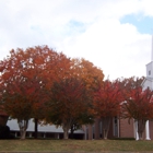 Flat Creek Baptist Church