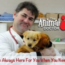 The Animal Doctor - Veterinarians