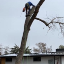 Tree Keepers - Tree Service