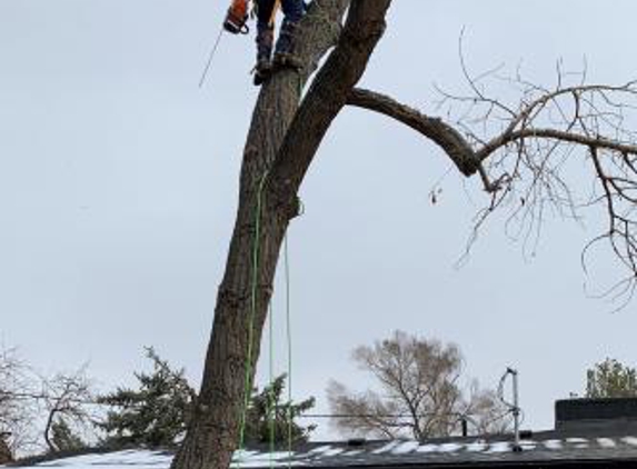 Tree Keepers - Littleton, CO