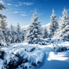Blizzard Ski & Snowboard School gallery