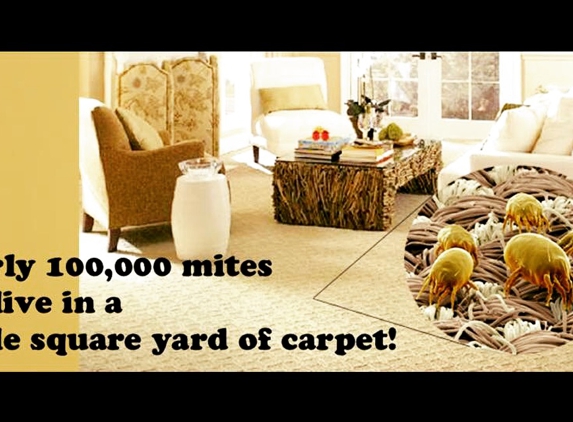 Emko's Carpet Cleaning Service - Bartlett, IL. Allergies Relief Carpet Cleaning in Bartlett, IL