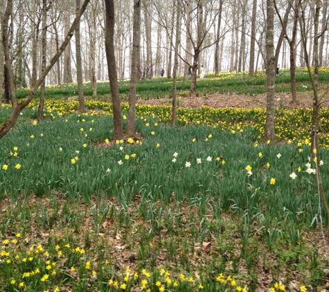 Gibbs Gardens - Ball Ground, GA