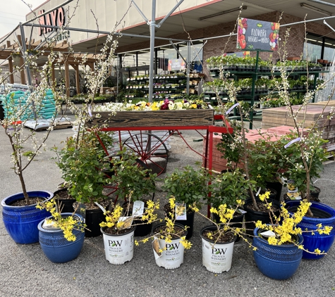 Mayo Garden Centers - Knoxville, TN