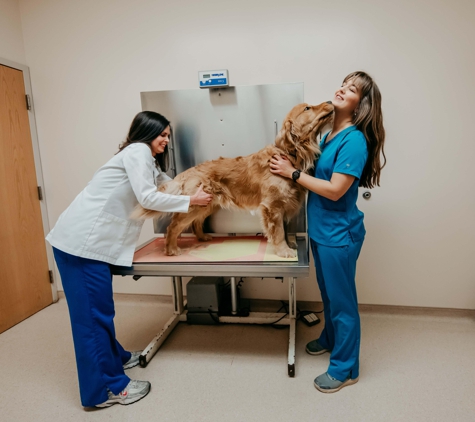 Fallston Veterinary Clinic - Fallston, MD