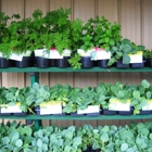 Bethel Feed & Supply Pet & Garden Center