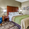 Comfort Inn & Suites gallery