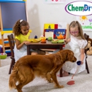 Empire City Chem-Dry - Carpet & Rug Cleaners