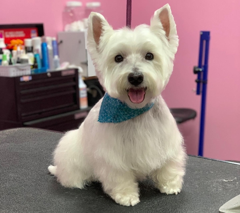 Woof Gang Bakery & Grooming West U - Houston, TX