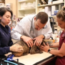 BluePearl Pet Hospital - Veterinary Clinics & Hospitals
