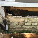 Wicked Bee Removal Service - Bee Control & Removal Service