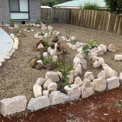 Gallery Image Number 6
