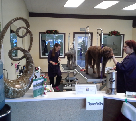 Pampered Paws Grooming LLC - Oregon City, OR