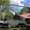 Randy's Tree Service - Firewood