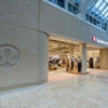 Lululemon gallery