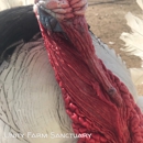 Unity Farm Sanctuary Inc - Social Service Organizations