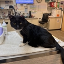 VCA Southeast Portland Animal Hospital - Veterinarians