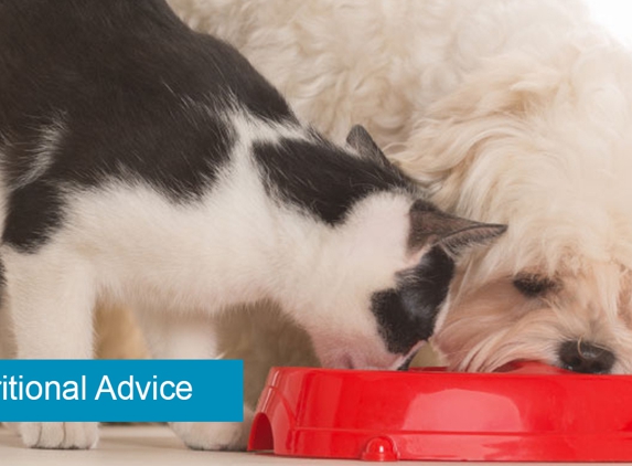 Reynella Veterinary Clinic - Morphett Vale, SA. Nutritional Advice