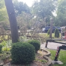 Brown Tree Service - Arborists