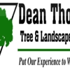 Dean Thomas Tree Service gallery