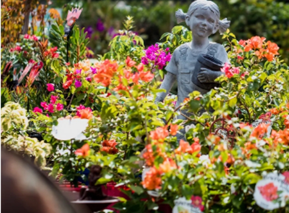 Samford Valley Garden Centre - Samford Village, QLD