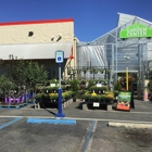 Tractor Supply Co