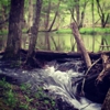 Cades Cove gallery