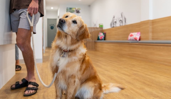 Torquay and Surfcoast Veterinary Clinics - Torquay, VIC