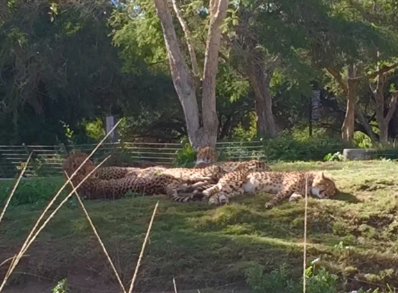 San Diego Zoo Safari Park - Escondido, CA