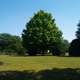 Chapel Hill Memorial Gardens & Funeral Home