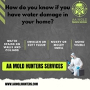 AA Mold Hunters Services - Mold Testing & Consulting