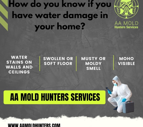 AA Mold Hunters Services