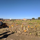 Cool Patch Pumpkins - Historical Places