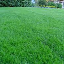 Lawn Works - Lawn Maintenance