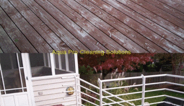 Aqua Pro Cleaning Solutions