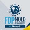 FDP Mold Remediation of Newark gallery