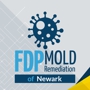 FDP Mold Remediation of Newark
