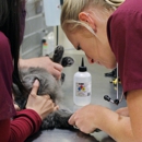 Capital District Veterinary Referral Hospital - Pet Services