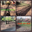 Apex Property Services - Landscaping & Lawn Services