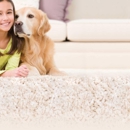 A Blue Ribbon Chem-Dry - Carpet & Rug Cleaners