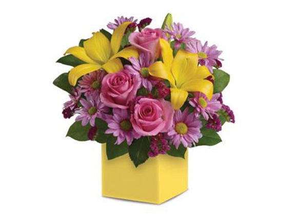 Daisy Chain Florist - Ulverstone, TAS