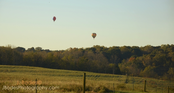 Carousel Gallery #21