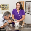 All Pet Animal Hospital gallery