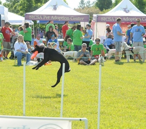 Team ZOOM Canine Entertainment - Moraine, OH